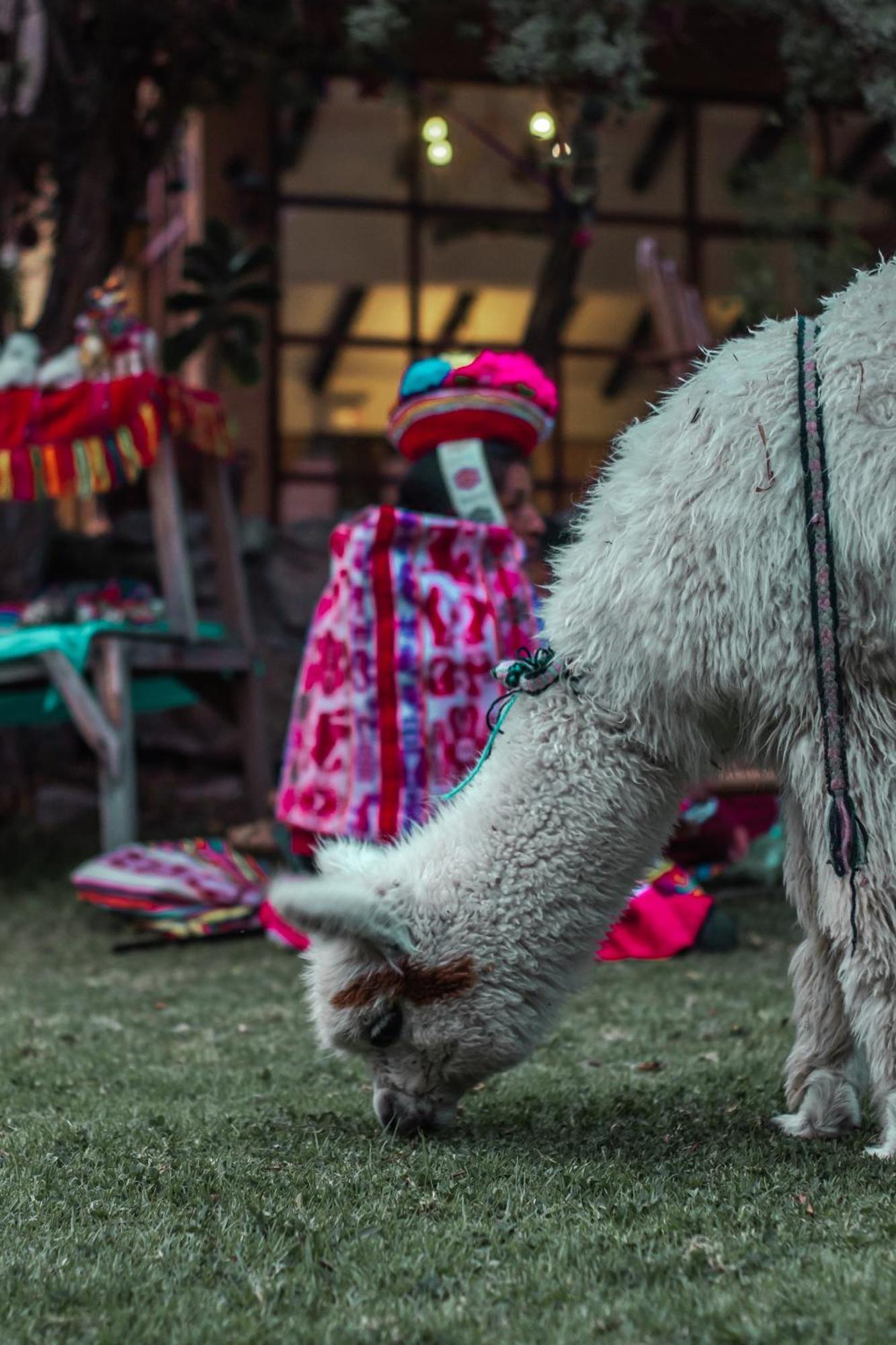 Andean Wings Valley Urubamba Exterior photo