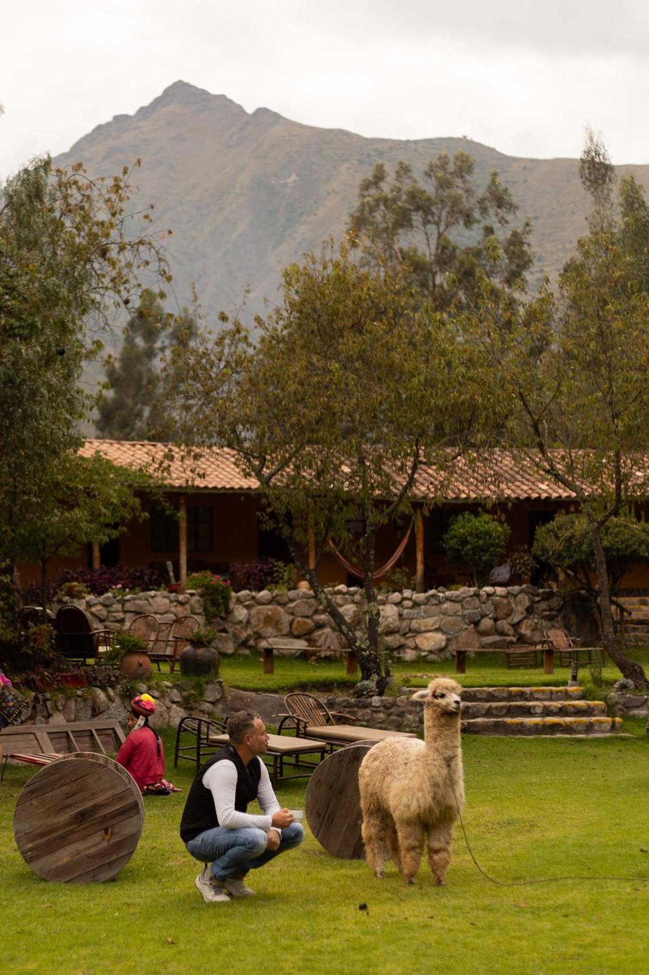 Andean Wings Valley Urubamba Exterior photo