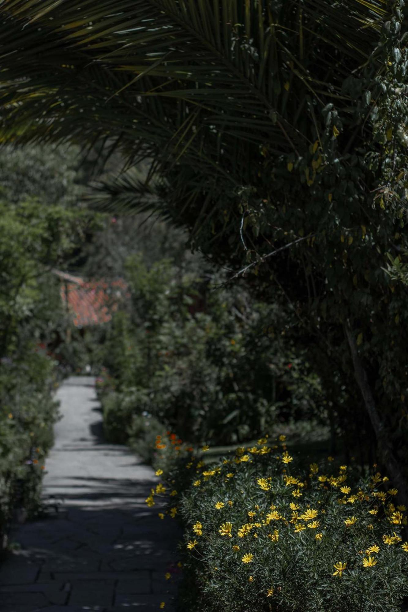 Andean Wings Valley Urubamba Exterior photo